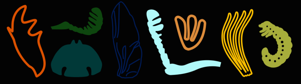 Partes de besouros coloridas