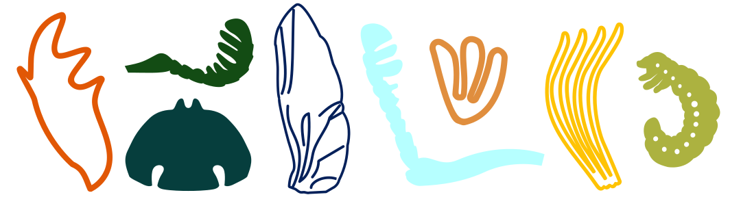 desenhos esquemáticos de diversar partes debesouros em cores vivas