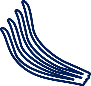 antenas lameladas de Cetonidae