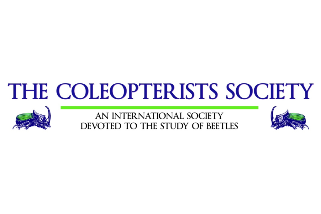 Banner da The Coleopterists Society sobre fundo branco. Na parte superior, o nome da organização aparece em letras grandes na cor azul: "THE COLEOPTERISTS SOCIETY". Abaixo, uma linha horizontal verde e o slogan em inglês: "AN INTERNATIONAL SOCIETY DEVOTED TO THE STUDY OF BEETLES" (Uma sociedade internacional dedicada ao estudo dos besouros). Nas extremidades esquerda e direita há ilustrações de besouros estilizados em azul e verde. O design é limpo, centralizado e utiliza as cores azul, verde e branco.